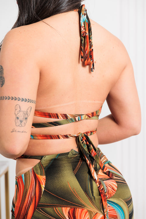 Set Amazonia